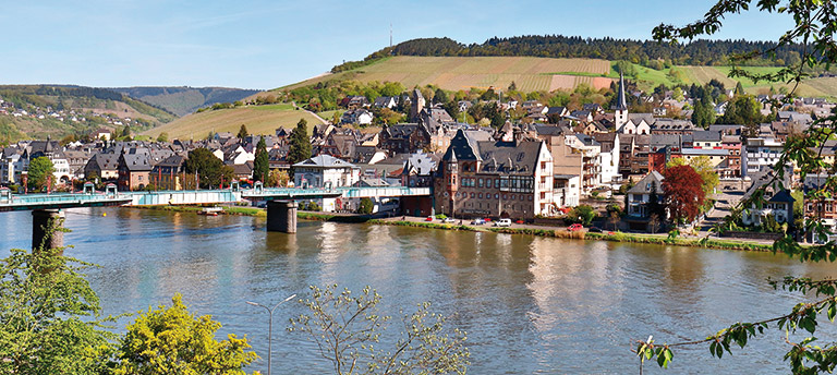 A view towards Traben-Trarbach, Germany